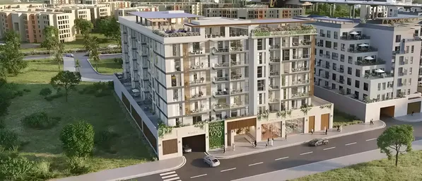 Zazen Ivy New Development #2 Zazen Ivy New Development #2