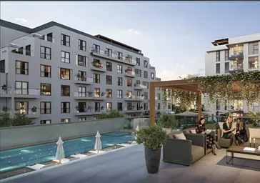 Zazen Ivy New Development #3 Zazen Ivy New Development #3