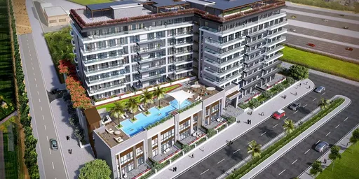 Zazen One New Development #3 Zazen One New Development #3