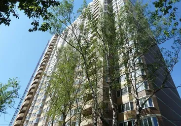 Zolotye vorota New Development #1 Zolotye vorota New Development #1